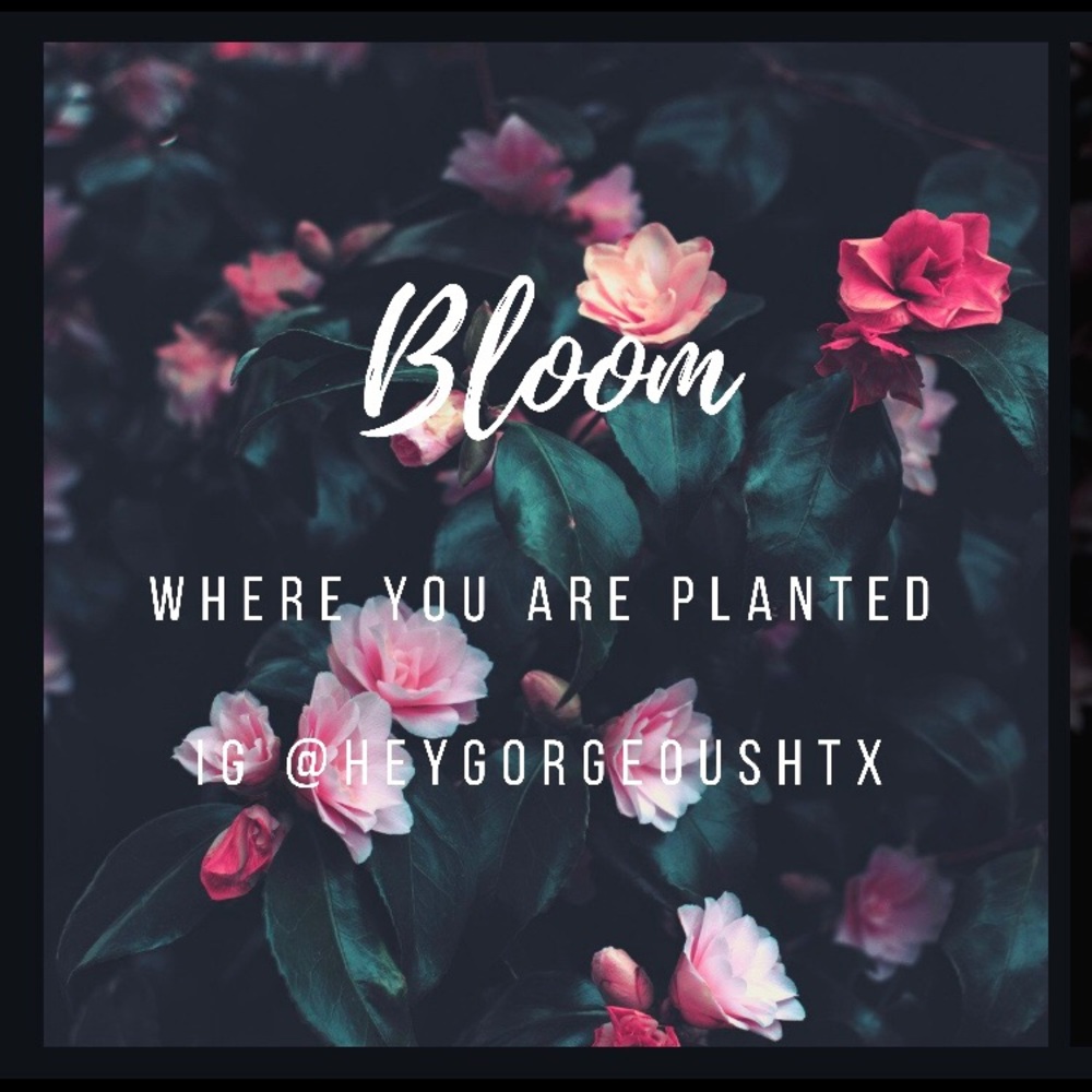 Connect with me on IG! 💕